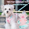 Striped Color-Block Dog Harness with Matching Leash