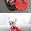 A white dog wearing a red basketball-themed vest with Chicago lettering.