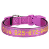 Personalisierte bestickte Nylon-Hundehalsband