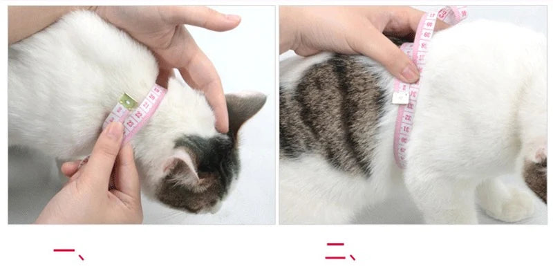 Adjustable Nylon Harness and Leash Set for Small Pets