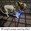 Clear Dog Raincoat with Button-Up Front