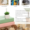 Natural Wooden Chew Toy Set for Small Pets – Guinea Pigs, Rabbits & Hamsters