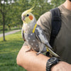 Breathable Parrot Flight Suit with Poop Pocket