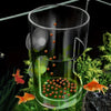 A clear glass feeder ring for aquarium fish, showing small orange pellets in a natural plant environment.