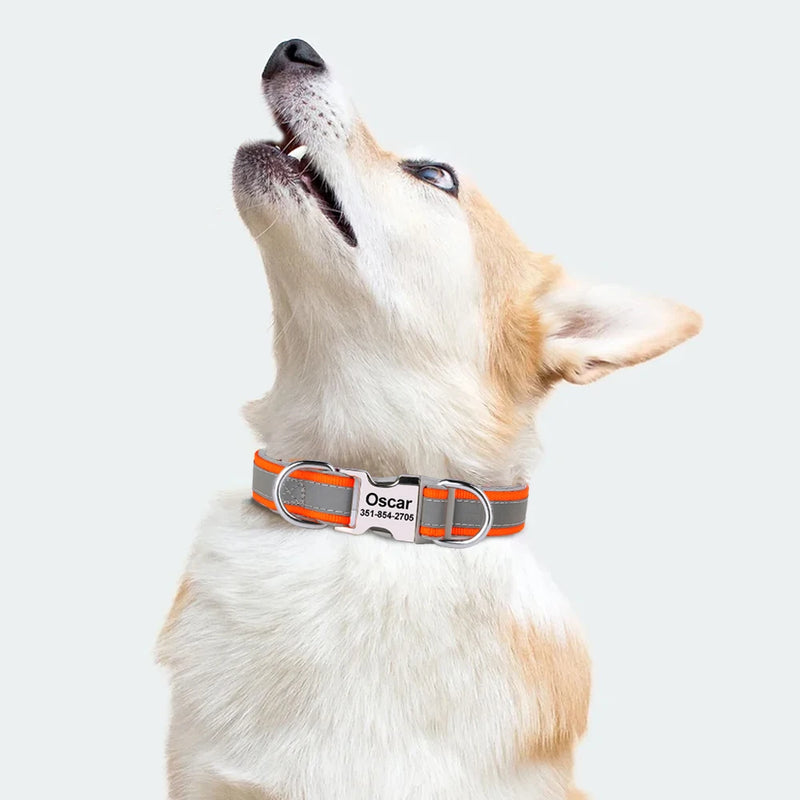 Reflektierendes personalisiertes Hundehalsband mit graviertem Anhänger