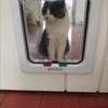 Weatherproof Pet Door Flap with 4-Way Locking Security