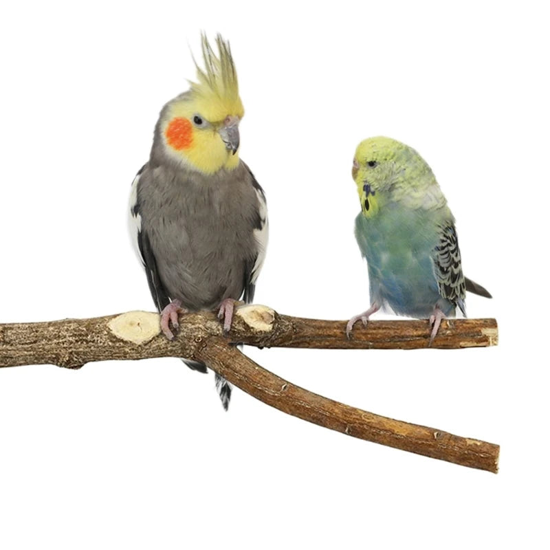 A small yellow and gray parrot perched on a wooden branch.