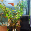Aquarium Bio Sponge Filter with Air Pump Connection
