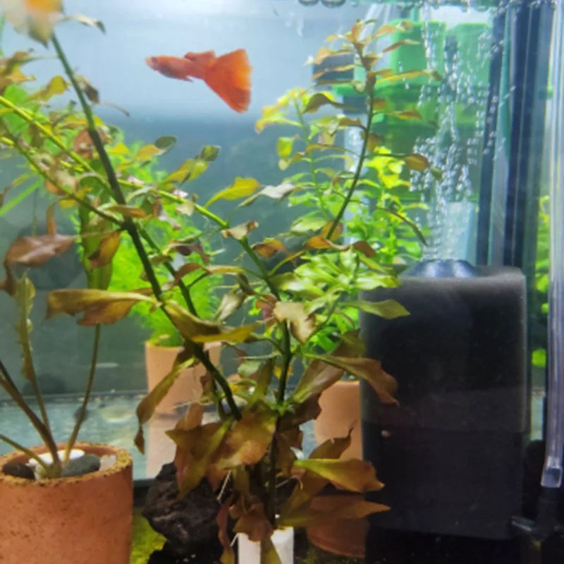 Aquarium Bio Sponge Filter with Air Pump Connection