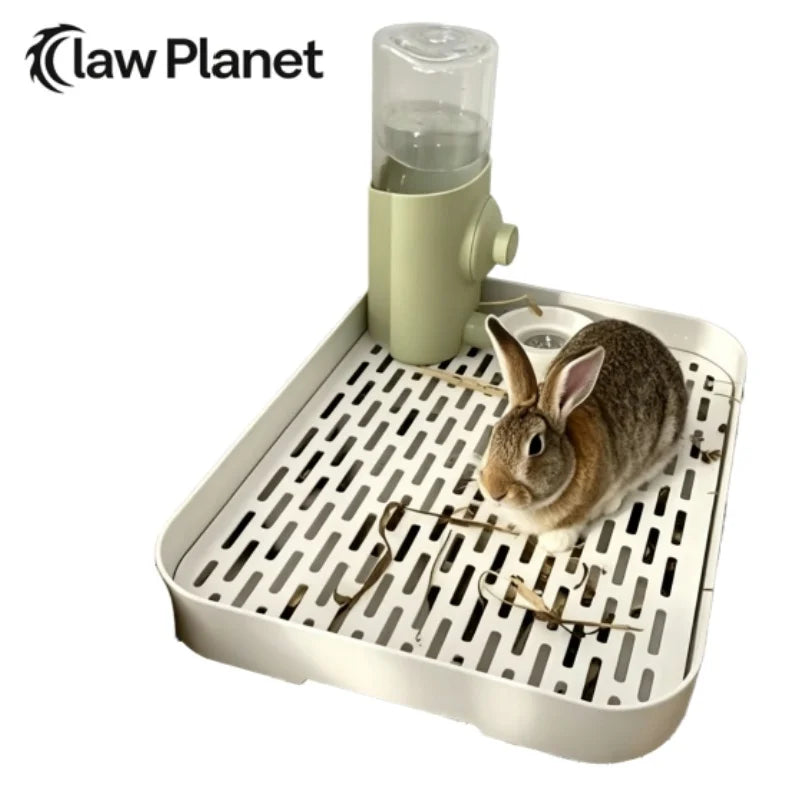 A small brown rabbit is using a clear pet litter box dispenser on a white tray.