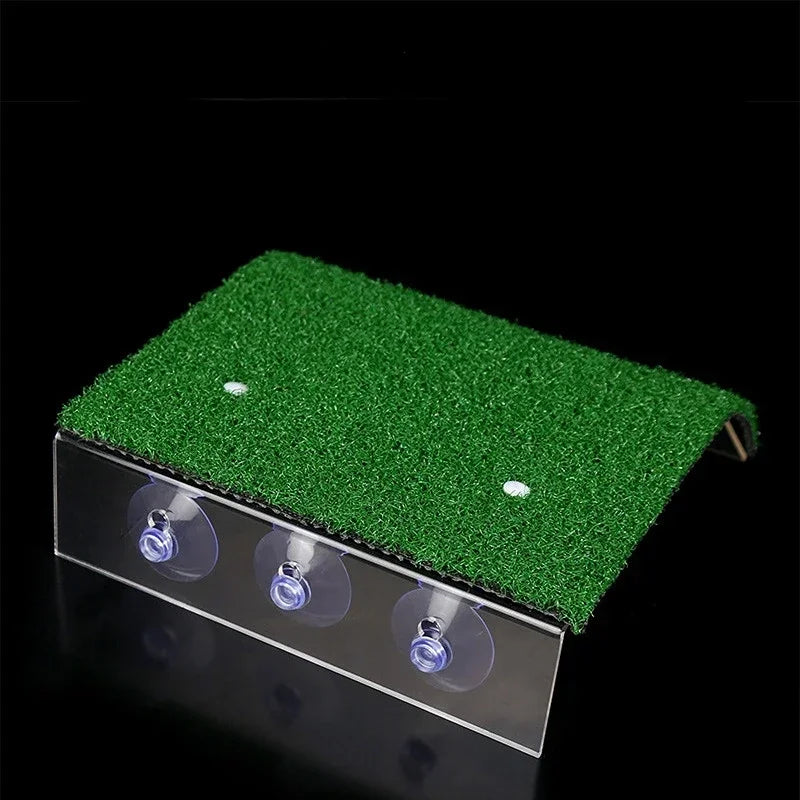 A green basking platform for aquatic turtles featuring multiple clear suction cups.