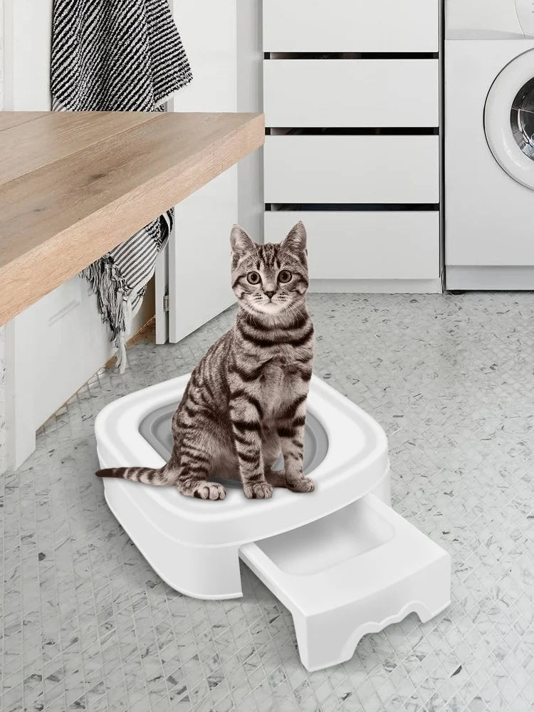 Eine graue Streifkatze sitzt in einer weißen Plastik-Toilettenschale auf einem gefliesten Boden.