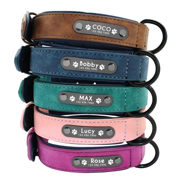 Collier en Cuir Personnalisé pour Chien avec Plaque d'Identité