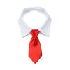 Corbata y Pajarita Formal para Mascotas