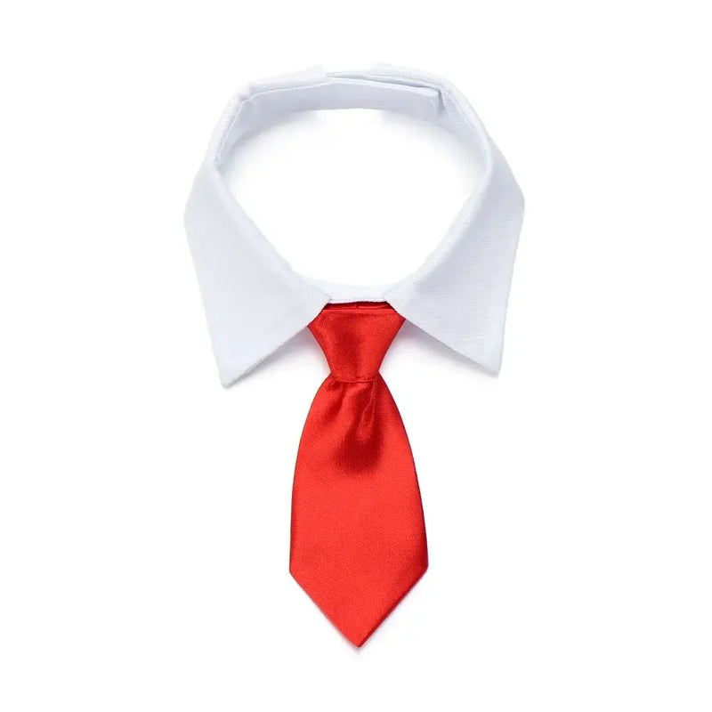 Corbata y Pajarita Formal para Mascotas