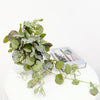 Artificial Hanging Silk Plant Vines for Home Decor