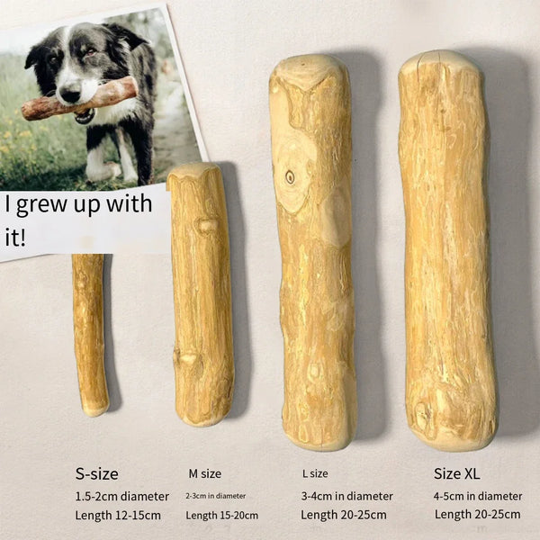 Jouet à Mâcher en Bois de Café Naturel pour Chiens