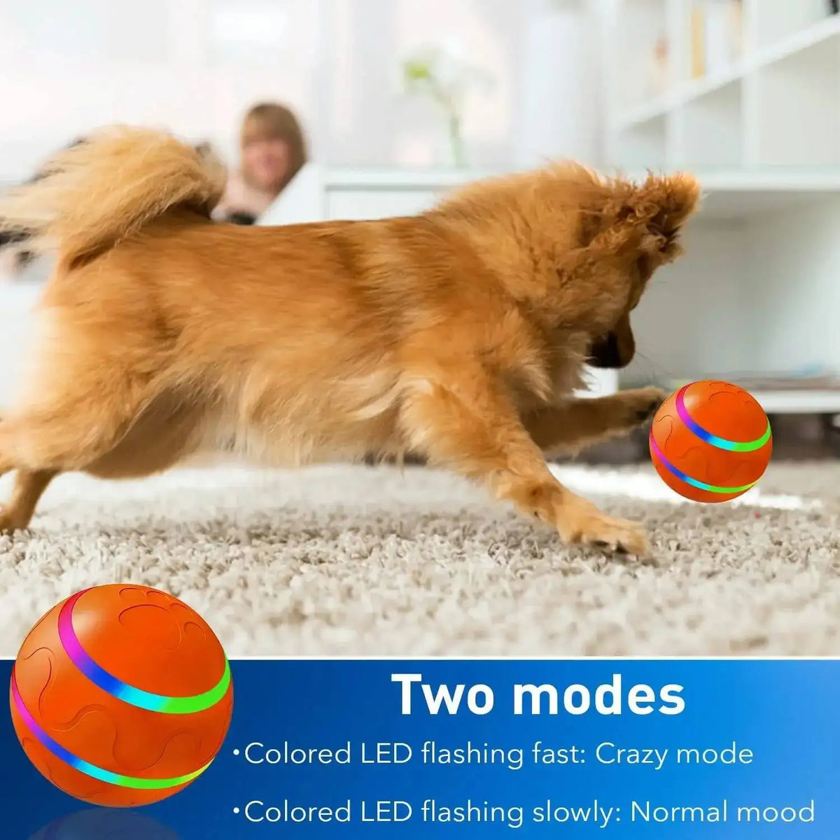 Orange LED pet ball shown on a white rug with a dog in the background, demonstrating two modes of flashing.