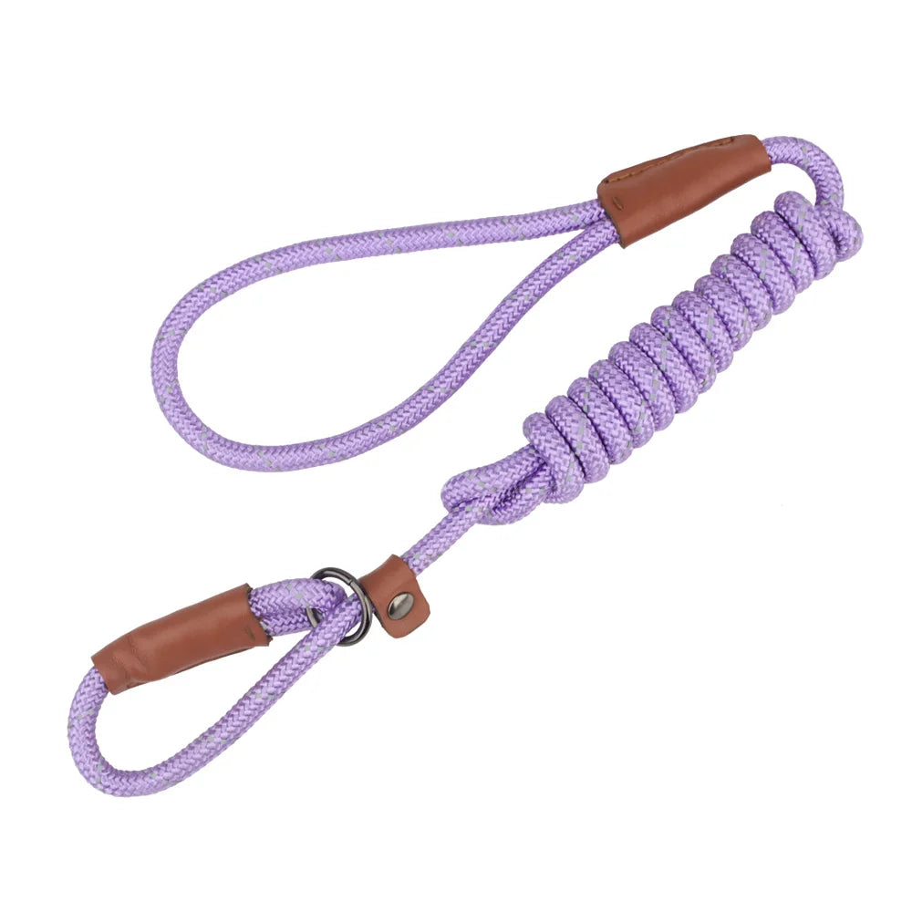 A purple reflective P-shape dog leash with brown leather accents and a metal clasp.