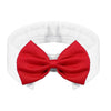 Adjustable Bow Tie Collar for Cats and Small Dogs