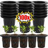 A set of black hydroponic mesh net pots for plant cultivation, shown from above.