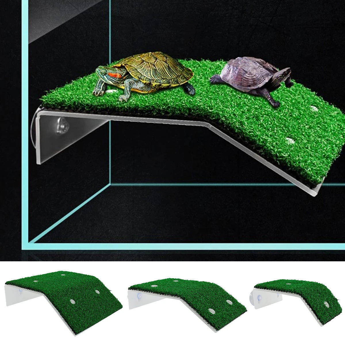 Turtle Basking Platform with Simulation Lawn Ramp