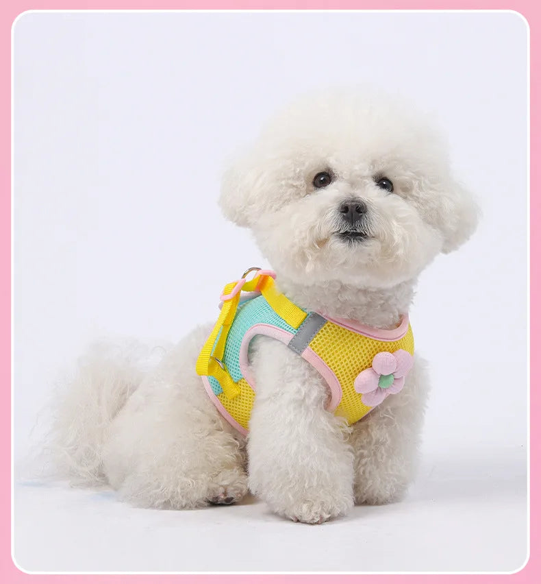 A fluffy white dog wearing a yellow and pink breathable harness.