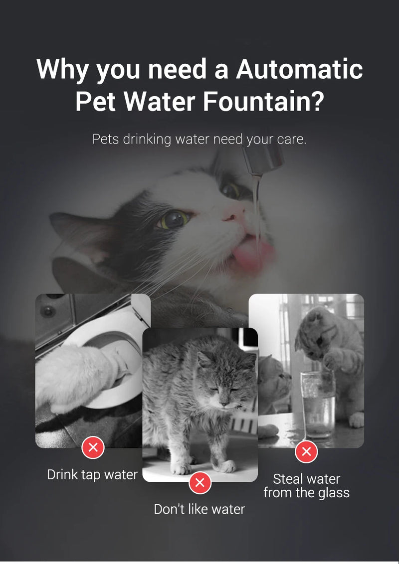 Fontaine à eau pour animaux avec deux modes de débit