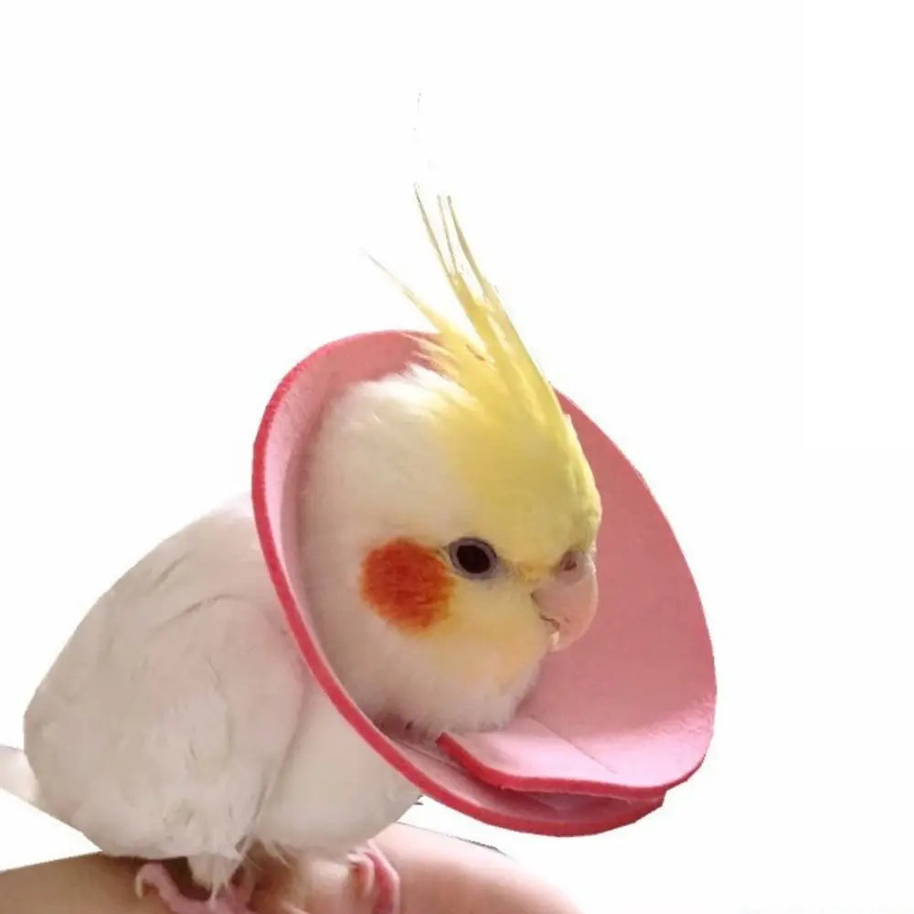 Adjustable Bird Recovery Collar – Anti-Pecking Protective Neck Sleeve