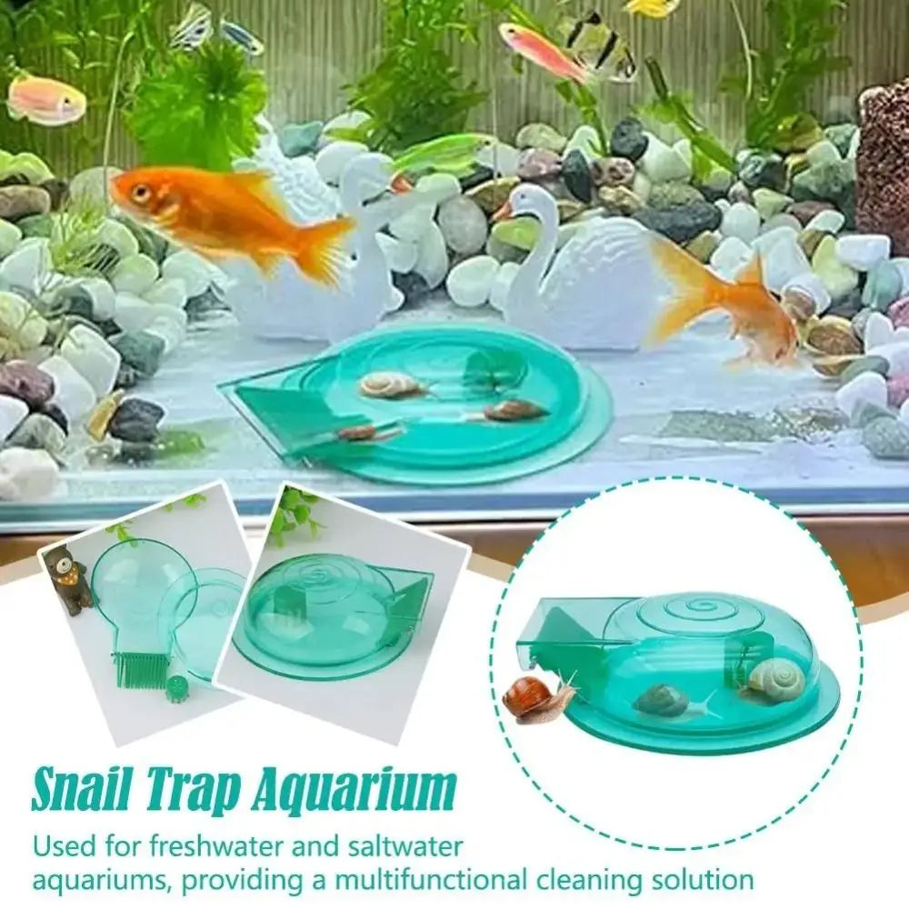 A clear plastic snail trap aquarium used for cleaning freshwater and saltwater fish tanks.