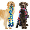 Two dogs holding colorful knot rope toys for tug-of-war and interactive play