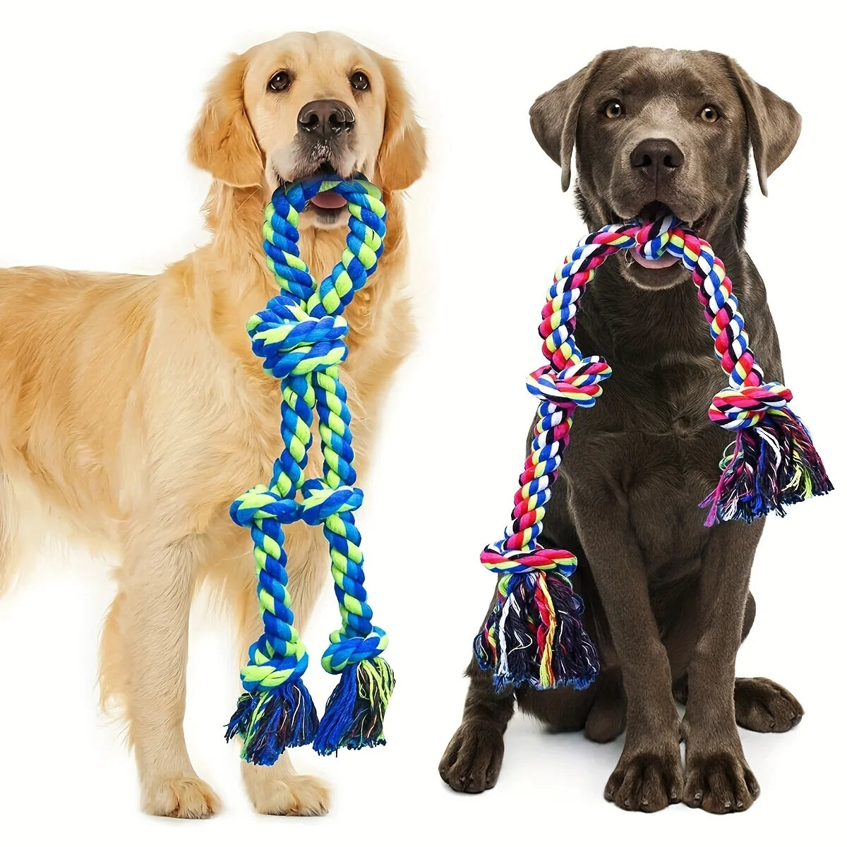 Two dogs holding colorful knot rope toys for tug-of-war and interactive play