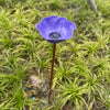 Decorative Flower Bird Feeder and Waterer for Garden