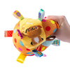Interactive Dog Ball with Nylon Handle & Bells