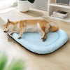 An orange and white dog is resting on a light blue, textured pet bed indoors.