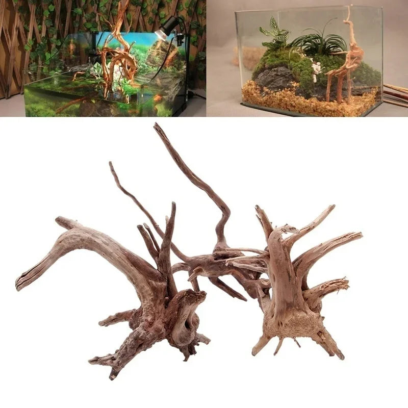 Eine Sammlung trockener, verwitterter Baumstämme als natürliche Dekoration für ein Aquarium.