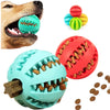 Balle interactive distributeur de friandises pour chien