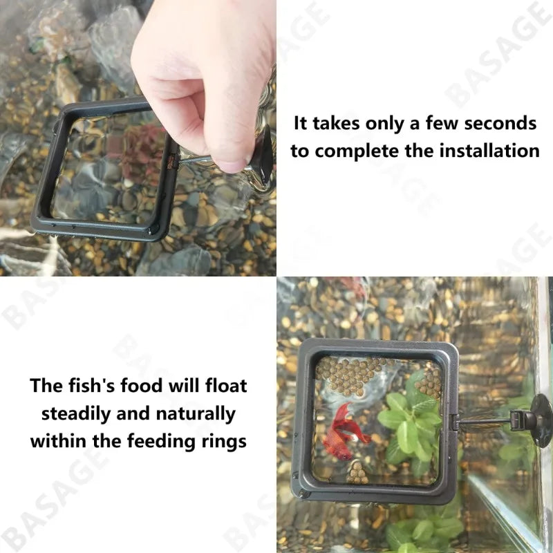 Anillo Flotante para Alimentar Acuarios