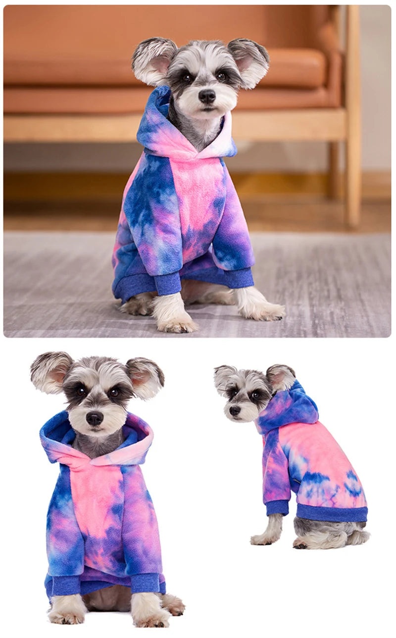 Un petit chien portant un sweat à capuche en polaire tie-dye rose, bleu et violet.