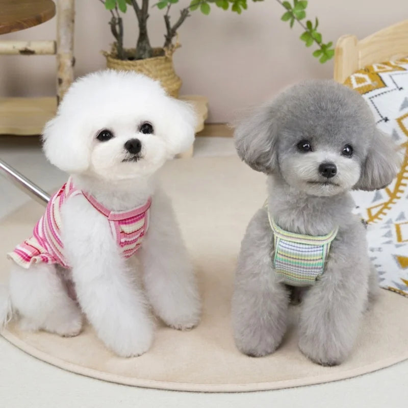 Summer Suspender Dog Dress - Striped Strawberry Print