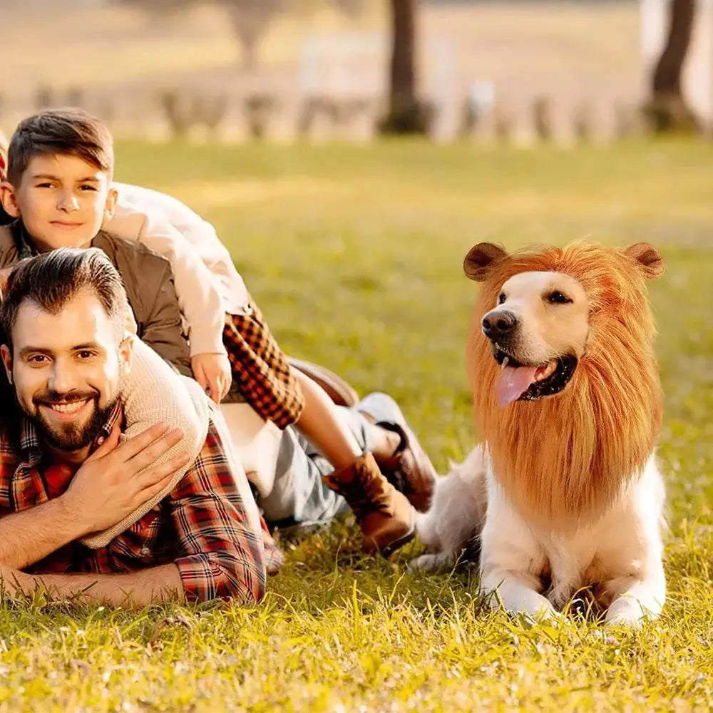 A man is lying on the grass with a young boy and a lion-maned dog.