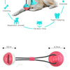 Suction Cup Interactive Dog Ball Toy with Treat Dispenser