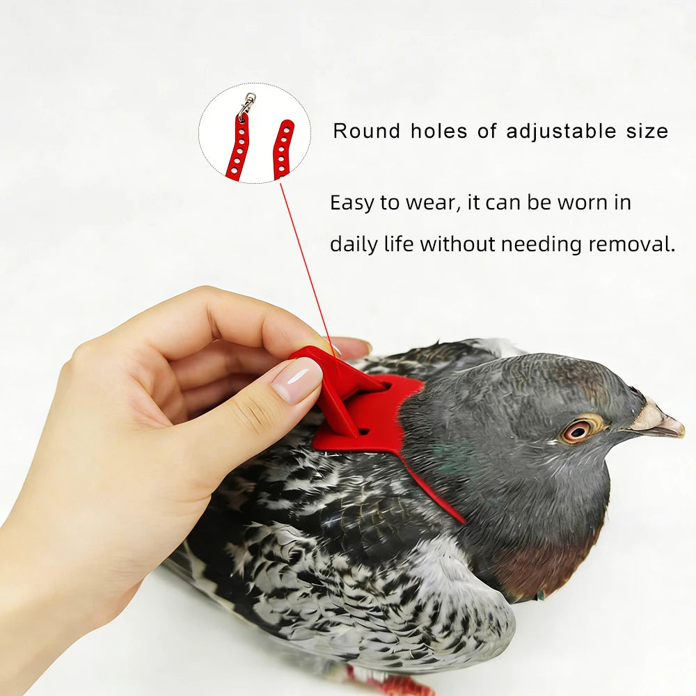 A hand is adjusting a red round hole on an adjustable parrot harness worn by a dove.