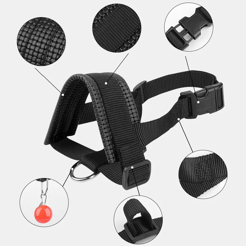A black adjustable dog muzzle with various components shown, including the main strap, buckle, and a detachable lead.