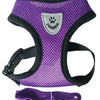Verstellbares Mesh-Hundegeschirr und Leinen-Set