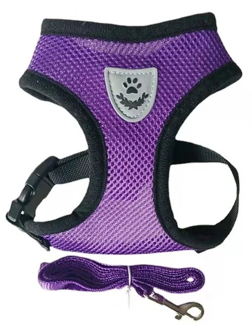 Verstellbares Mesh-Hundegeschirr und Leinen-Set