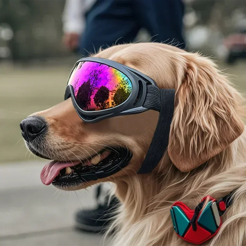 Adjustable Anti-UV Dog Goggles with Windproof Lenses