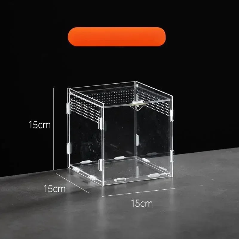 A clear acrylic reptile terrarium box shown on a dark surface with an orange indicator bar above it.
