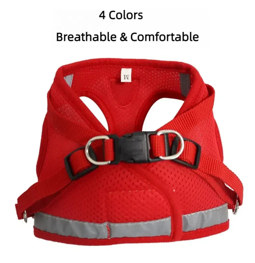 Adjustable Escape-Proof Mesh Harness and Leash Set for Cats and Small Dogs