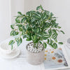 Artificial bonsai tree with green leaves in a pot displayed on a white surface.